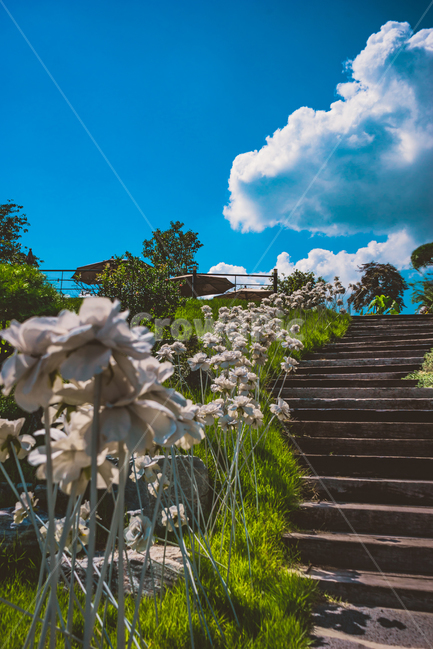 카페,하늘,구름,꽃,계단,식물,풀,파라솔,휴식,청도,나무,cafe,sky,cloud,flowers,stair,plants,parasol,rest,wood,tree,beautiful,자연,풍경,nature,landscape,outdoors,옥외,garden,정원