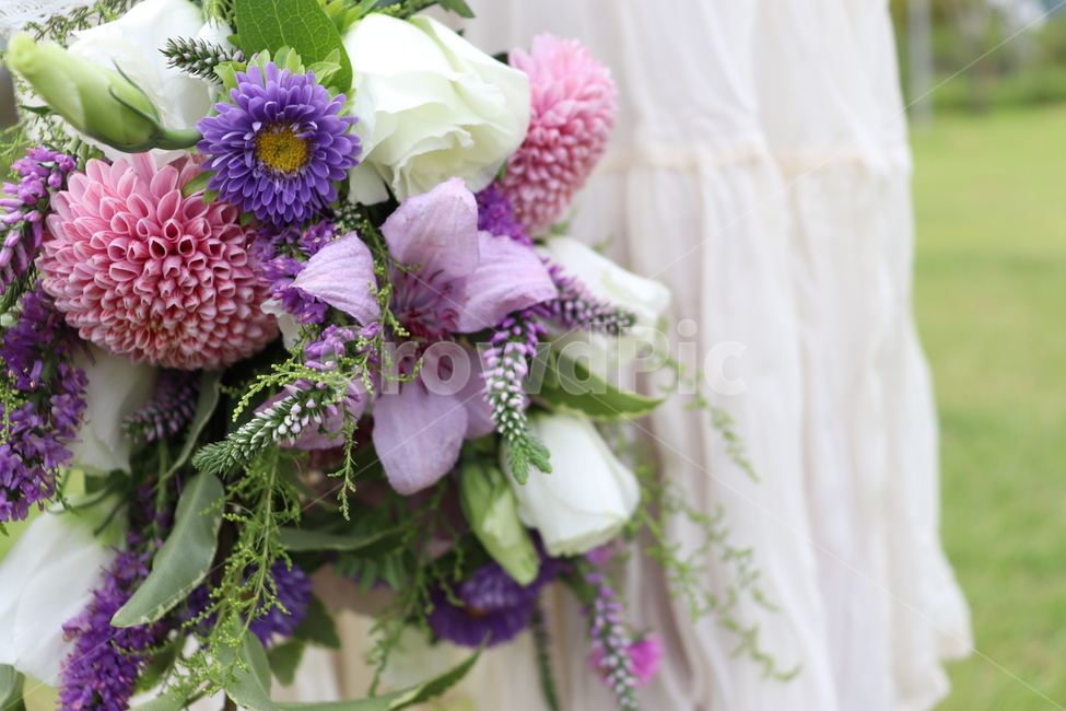 plant,식물,flowerbouquet,꽃부케,blossom,flowerarrangement,flower,꽃,싱그러운,보라색,웨딩,웨딩부케,야외부케,야외웨딩