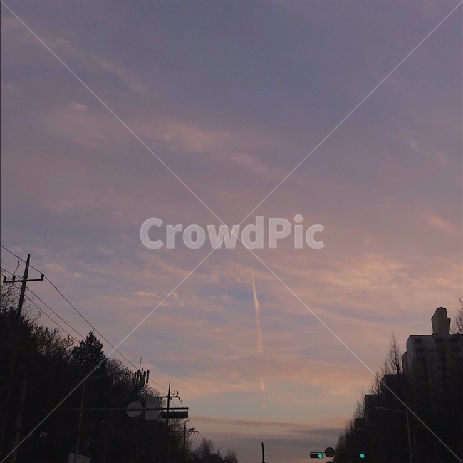 하늘,노을,구름,나무,sky
