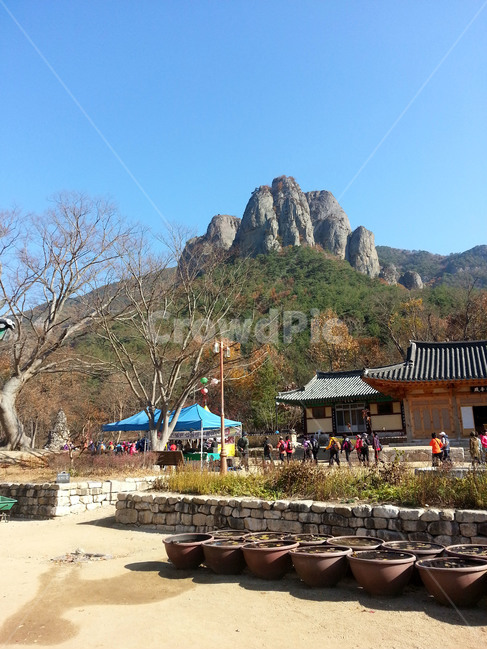 주왕산,오행산,가을,단풍,낙엽,바위,산,한국,KOREA,Koreafallfoliage,roofingtile,가을,계절,fall,autumn,season,자연,풍경,nature,landscape,한국자연풍경,한국자연경관,korea nature landscape,human,인간,person,사람