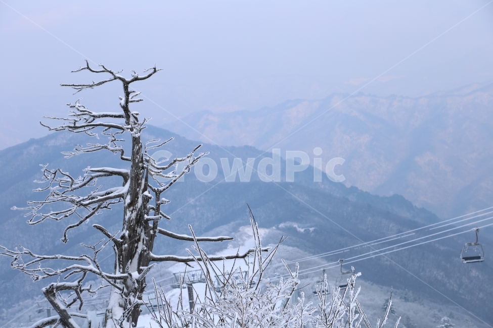 겨울,덕유산,눈,풍경,자연,겨울덕유산,겨울,계절,winter,season,자연,풍경,nature,landscape,한국자연풍경,한국자연경관,korea nature landscape,식물,plants,나무,trees,wood,outdoors,옥외