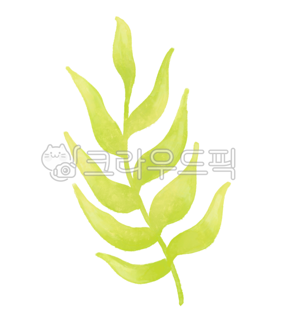 blade of grass,leaf,Plant,fern,botanical,plant illustration,flower illustration,grass