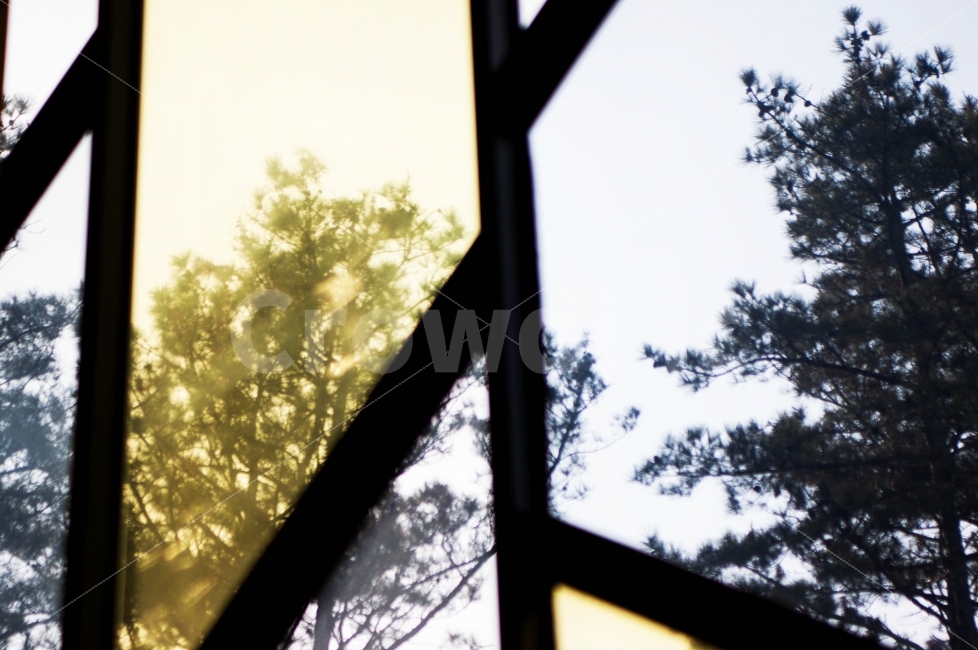 나무,풍경,자연,프레임,유리,tree,nature,landscape,frame,창밖,자연,풍경,nature,landscape,flare,플레어,light,빛,home decor,가정 장식