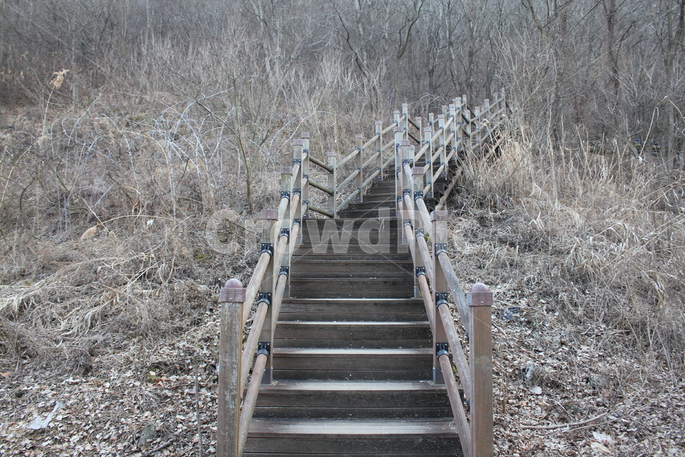 자연,풍경,경치,산,나무,겨울,계절,winter,season,자연,풍경,nature,landscape,handrail,난간,banister,staircase,계단,building,건물,bridge,다리,boardwalk,산책로