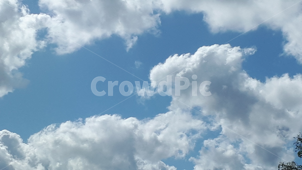 nature,자연,sky,하늘,푸른하늘