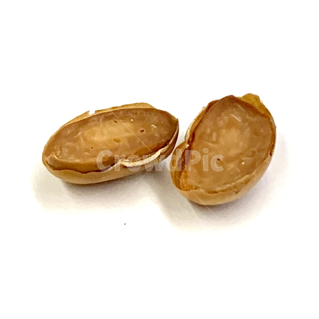 백태,서리태,콩,원두,땅콩,plant,식물,견과류,견과,알콩,갈라진,속,nut,너트,식품,food,콩류,견과류,beans,pulse,nuts,dry fruits