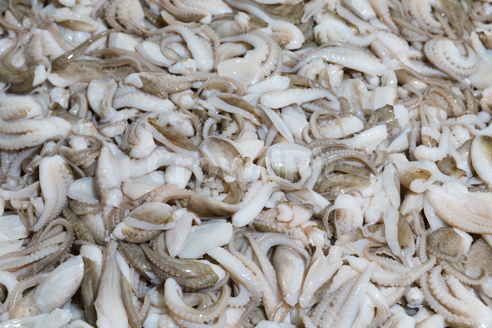 주꾸미,다이어트,건강식,조리법,맛있다,별미,낙지,문어,해산물,바다요리,재료,생물,요리,세척,위생,청결,공장,koreandishes,koreancook,food,회,음식,식재료,요리,food,cook,meal,dishes,food reserves,수산물,해산물,fishery products,seafood