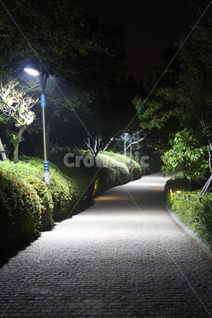 가로등,야경,야경복도,등산로,밤등산로,야경,밤,풍경,nightscape,night,landscape,outdoors,옥외,garden,정원