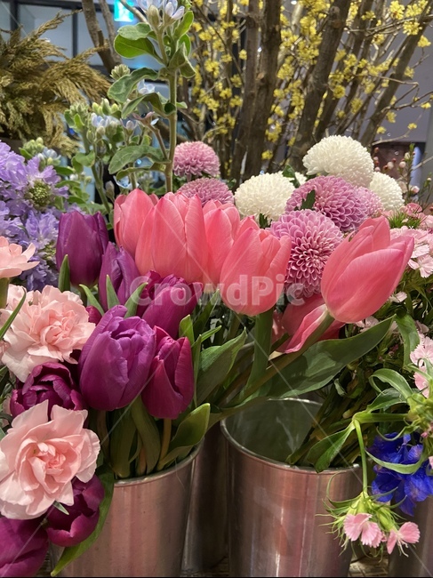 꽃집,소품,인테리어,plant,식물,blossom,꽃,flower,flowerarrangement,꽃꽂이,flowerbouquet,꽃부케
