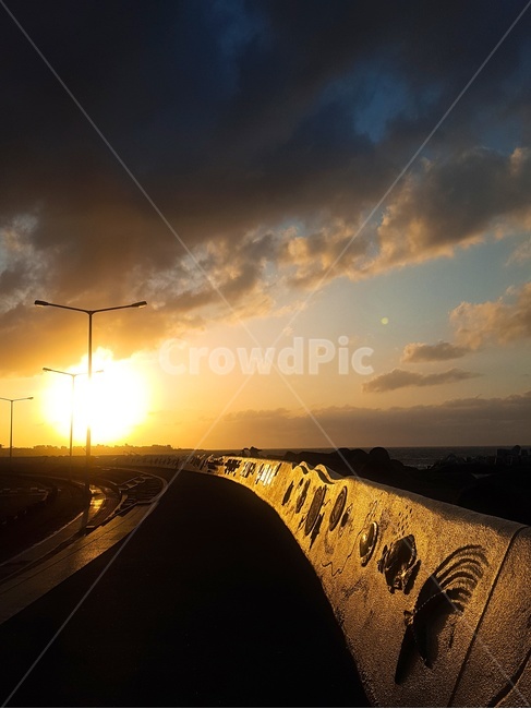 제주도,일몰,가로등,해안도로,노을,자연,풍경,nature,landscape,light,빛,flare,플레어,outdoors,옥외,sunlight,햇빛