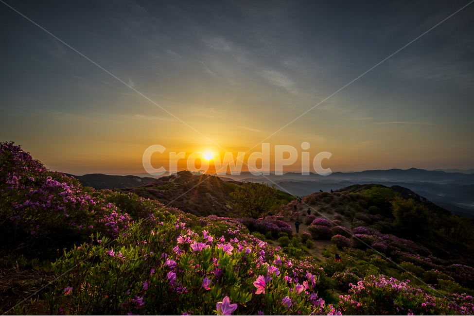자연,풍경,일출,하늘,구름,태양,황매산,철쭉,철쭉축제,산,운해,nature,landscape,sunrise,sky,clouds,sun,봄,계절,spring,season,자연,풍경,nature,landscape,한국자연풍경,한국자연경관,korea nature landscape,flare,플레어,light,빛,outdoors,옥외