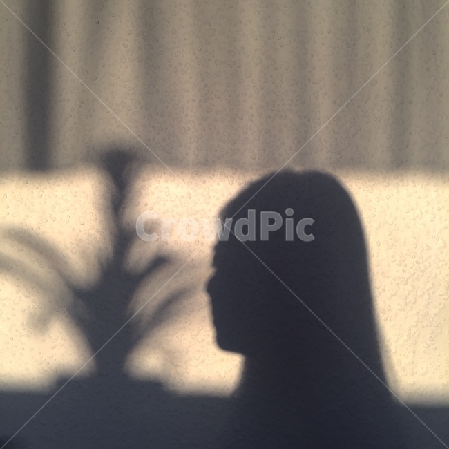 그림자,커튼,노을,식물,옆모습,실루엣,그림자,silhouette,shadow,인물실루엣,사람실루엣,character silhouette,human silhouette