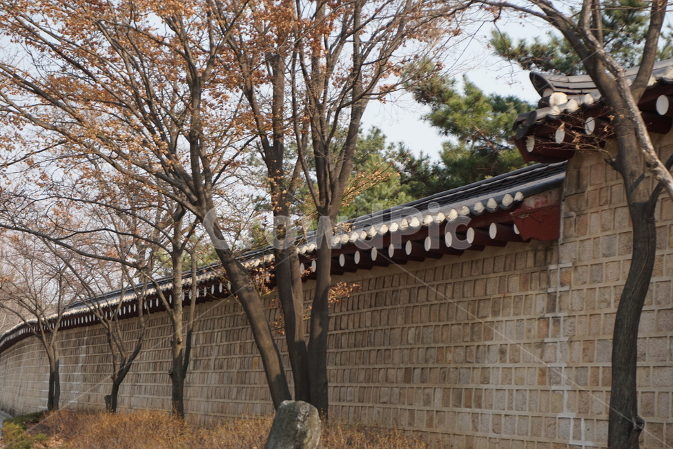돌담길,데이트,가을,궁,길,가을,계절,fall,autumn,season,한국전통,한국문화,korean traditional,korean culture,건축물,건물외관,exterior,building,structure,architecture,construction