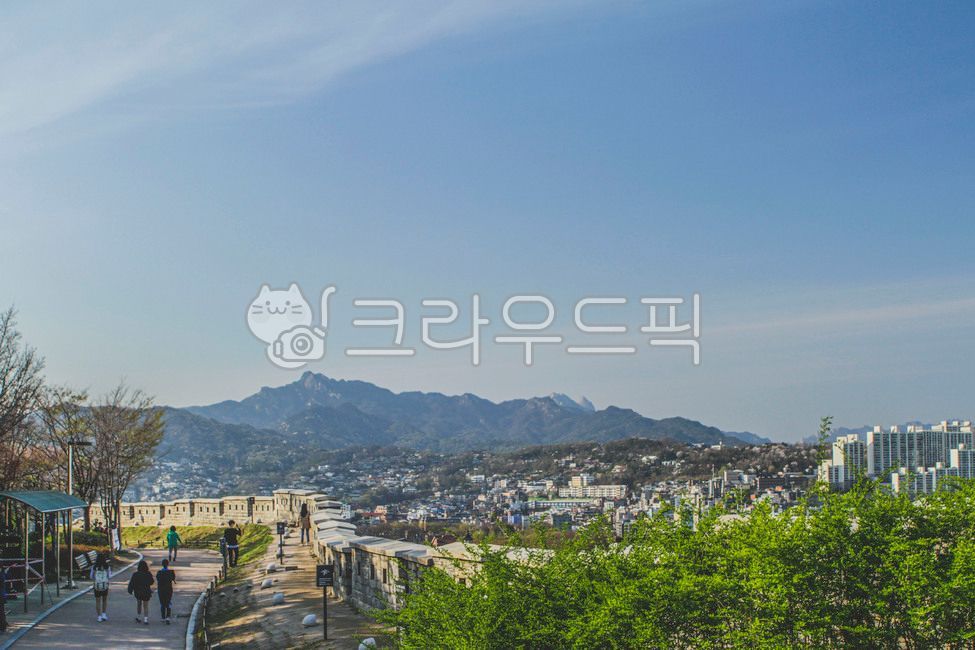 낙산공원,한양도성,서울성곽,서울,공원,산,자연,옥외,중심지,건물,시티,도시,나무,식물,벽,nature,outdoors,metropolis,building,city,urban,tree,plant,wall,mountain