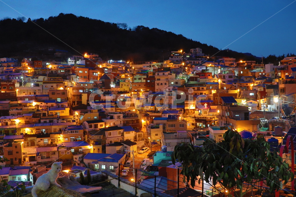부산,감천,감천문화마을,야경,밤,불빛,조명,마을,건물,night,nightview,lights,풍경,colorful,alley,village,야경,밤,풍경,nightscape,night,landscape,도시,city,한국도시풍경,한국도시경관,korea cityscape