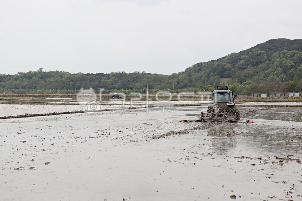 agricultural machinery,rice paddy,nature,automatic,outdoor,Its a mess,Selecting rice fields,machine,farming,sight,Agriculture,rice paddy farming