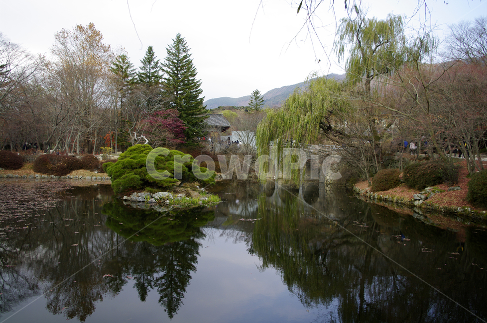 가을,호수,공원,나무,식물,plant,다리,반영,연못,가을,계절,fall,autumn,season,자연,풍경,nature,landscape,water,물,outdoors,옥외,tree,fir,전나무,land,땅