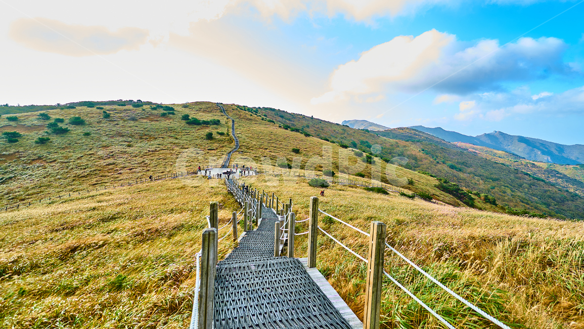 신불산,신불재,하늘억새길,자연,억새,산,자연,풍경,nature,landscape