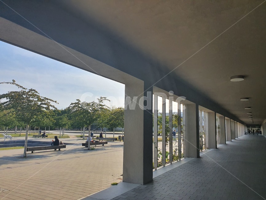 학교,가을,공부,대학교,경치,풍경