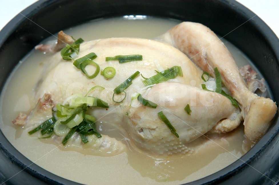 삼계탕,보양식,닭,닭요리,닭고기,한식,파,탕,고기,육류,건강,한국전통,한국문화,korean traditional,korean culture,음식,식재료,요리,food,cook,meal,dishes,food reserves,육류,고기,meat,한식,한국음식,한국요리,korean food,korean dishes,korean meal,korean cook