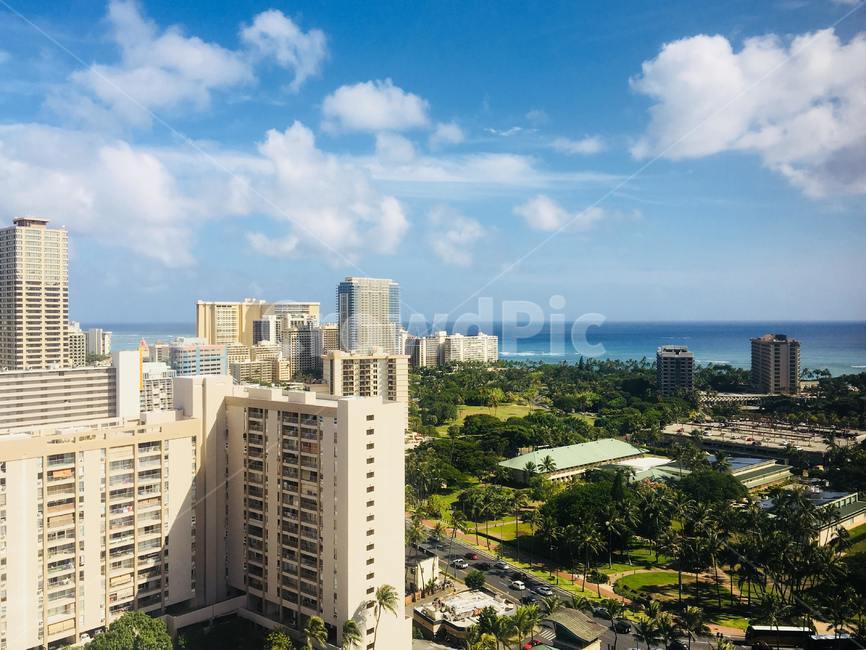hawaii,건축물,tower,building,건물,oean,sky,cloud,하늘,바다,풍경,scenery,자연,nature,경치,뷰,landscape,해외,미국,city,시티,어반,urban,highrise,고층건물,town,도시,강,river,거리,palmtree,야자수,street,road,도로,sunny,daytime,하와이