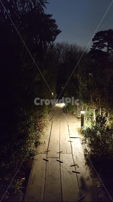 지브리,정원,산책길,밤거리,일본