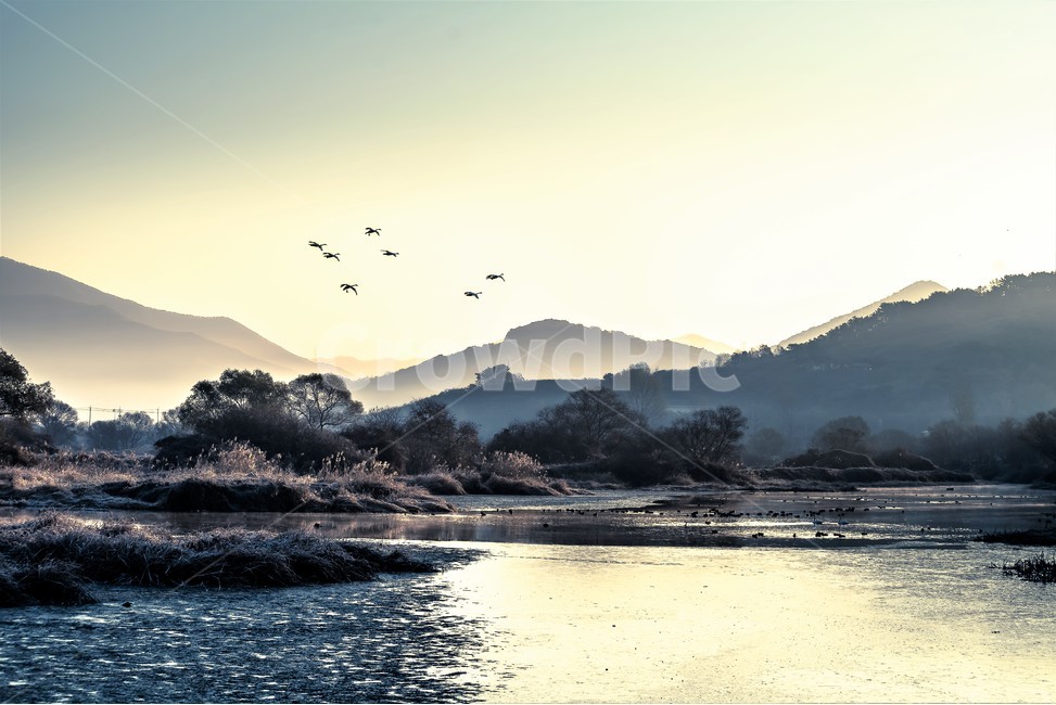 화포천,생태습지,습지,아침,자연,한국자연풍경,한국자연경관,landscape,nature,철새,자연,풍경,nature,landscape,한국자연풍경,한국자연경관,korea nature landscape,mountain range,산맥,mountain,산,outdoors,옥외,bird,새,animal,동물