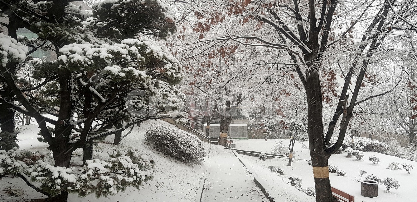 첫눈,창덕궁,고궁설경,돈화문,firstsnow,changdeokgung,겨울,계절,winter,season,자연,풍경,nature,landscape,outdoors,옥외