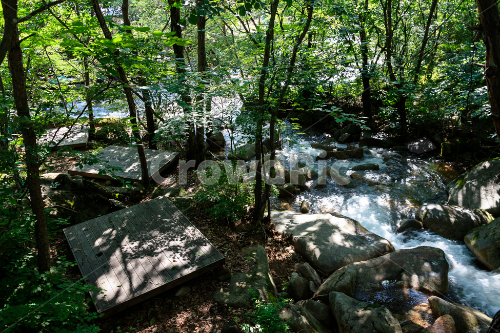 제천자드락길,계곡물,골짜기,숲,제천,자드락길,시원한,자연,풍경,nature,landscape,water,물,outdoors,옥외