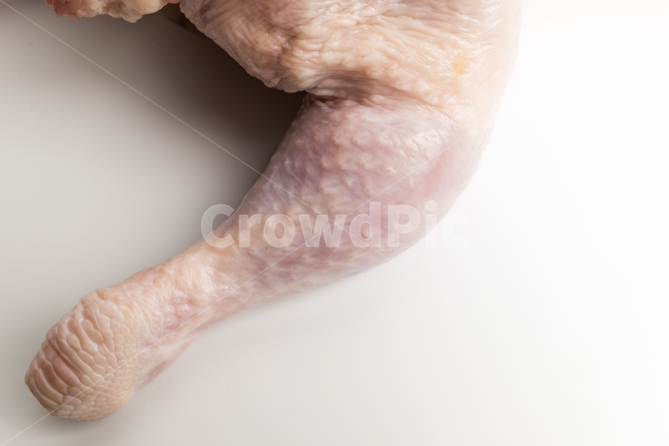 chicken breast,chicken,ingredient,raw,raw chicken,white meat,delicious,food,meal,Chicken leg meat,meat,Food Ingredients,ingredients,chicken neck,cooking,fresh,trimmed,chicken leg,chicken wings