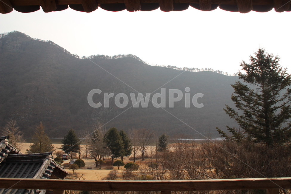 병산서원,건축,산,byeongsan,architecture,mountain,자연,풍경,nature,landscape,한국자연풍경,한국자연경관,korea nature landscape,한국전통,한국문화,korean traditional,korean culture,tree,나무,plant,식물,abies,아비,fir,전나무
