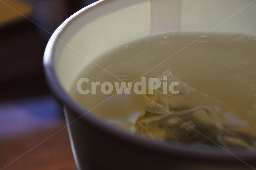자스민차,재스민차,쟈스민챠,tea,jasminetea,jasmine,감성,확대,종이컵,차,얼음,ice