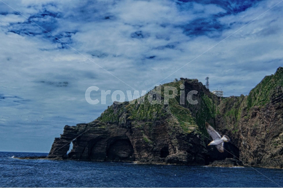 섬,독도,바다,울릉도,대한민국,갈매기,하늘,자연,풍경,nature,landscape,동물,animal,조류,새,birds,outdoors,옥외,land,땅,shoreline,해안선,water,물,ocean,대양,sea,coast,연안,bird