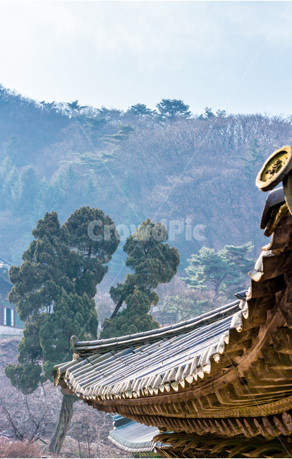 기와,선,사찰,문화유산,전통,한국전통,한국문화,korean traditional,korean culture,건축물,건물외관,exterior,building,structure,architecture,construction