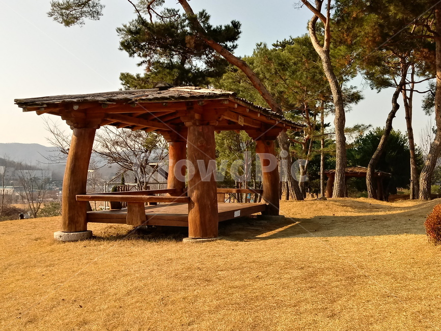 나무,자연,plant,tree,나무줄기,식물,treetrunk,잔디,정자,소나무