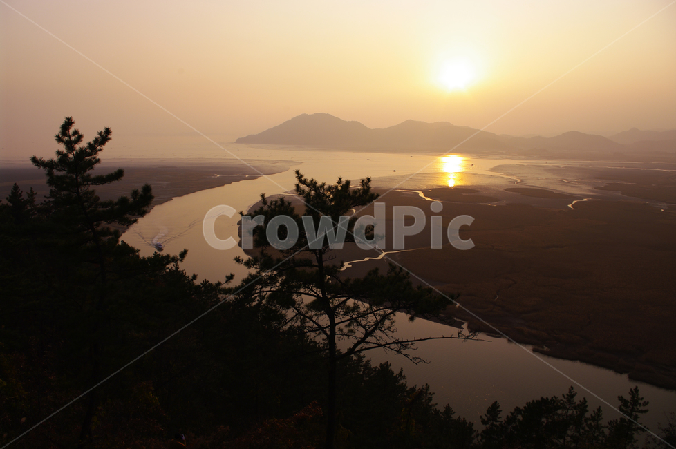순천만,일몰,석양,노을,풍경,갈대밭,자연,풍경,nature,landscape,한국자연풍경,한국자연경관,korea nature landscape,flare,플레어,light,빛,sunlight,햇빛,outdoors,옥외