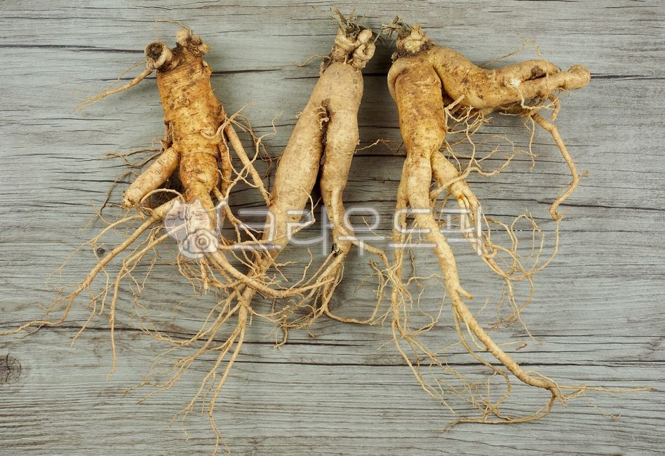 인삼,수삼,인삼뿌리,동양의학,한약재료,한약재,약재,뿌리,식물,뿌리식물,음식,건강식품,orientalmedicine,chinesemedicineingredients,herbalmedicine,ginseng,medicine,root,plant,food,healthfood,한의학,한약,한방