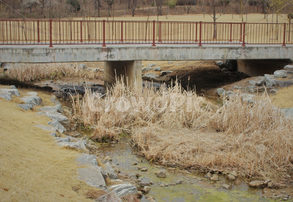 연못,다리,개울,bridge,갈대,공원,자연,풍경,nature,landscape,road,도로,freeway,고속 도로