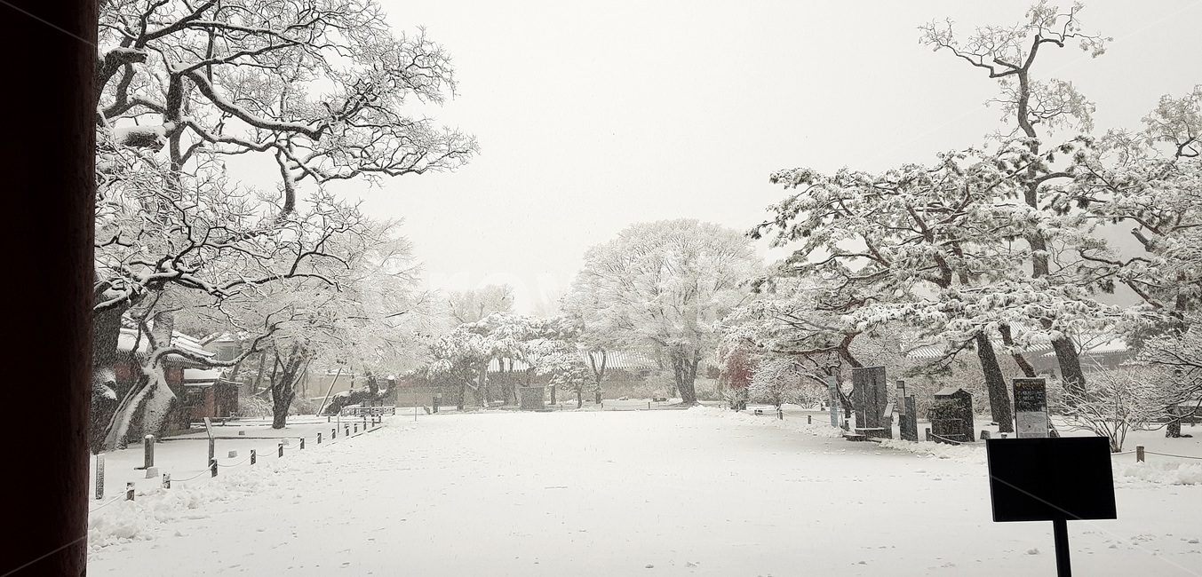 첫눈,창덕궁,고궁설경,돈화문,firstsnow,changdeokgung,겨울,계절,winter,season,자연,풍경,nature,landscape,outdoors,옥외