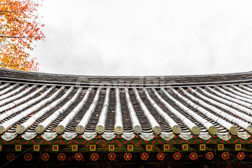 기와,선,패턴,문양,단청,무늬,전통,한국전통,한국문화,korean traditional,korean culture,건축물,건물외관,exterior,building,structure,architecture,construction