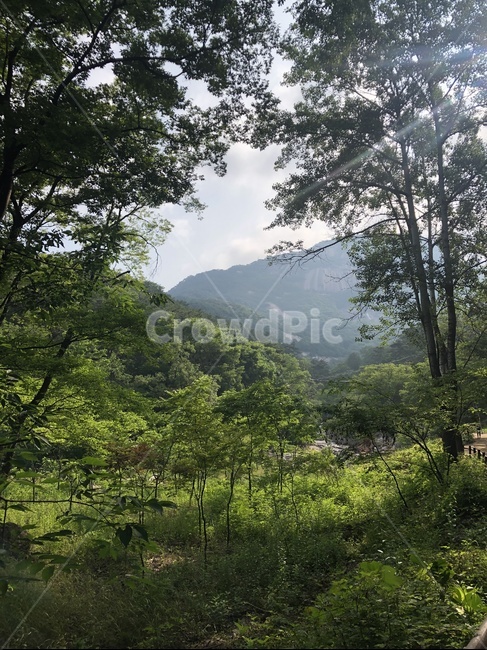 북한산,산,절경,나무,숲