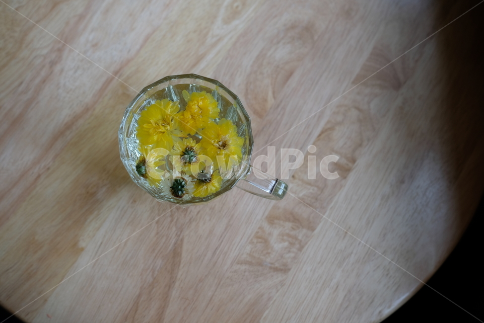 국화차,차,tea,티,꽃차,음료수,drink,beverage