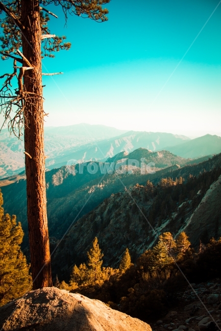 산,바위,자연,돌,풍경,나무,시원함,정상,산정상,꼭대기,등산,하이킹,자연,풍경,nature,landscape,해외,외국,세계,foreign,oversea,world,세계자연풍경,해외자연풍경,외국자연풍경,world nature landscape,식물,plants,나무,trees,wood,tree,plant,fir,전나무,abies,아비,outdoors,옥외,mountain