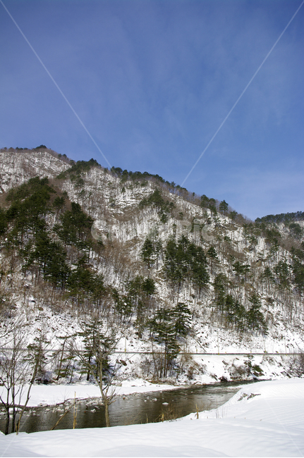 겨울,설경,풍경,산,눈,나무,겨울,계절,winter,season