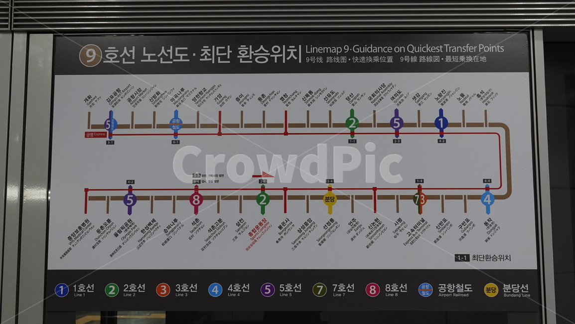 노선도,지하철,대중교통,9호선,급행