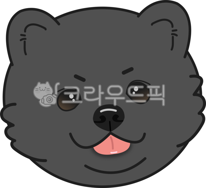 강아지,반려견,블랙포메,포메라이안,검정,개,강아지얼굴,애완동물,애완견