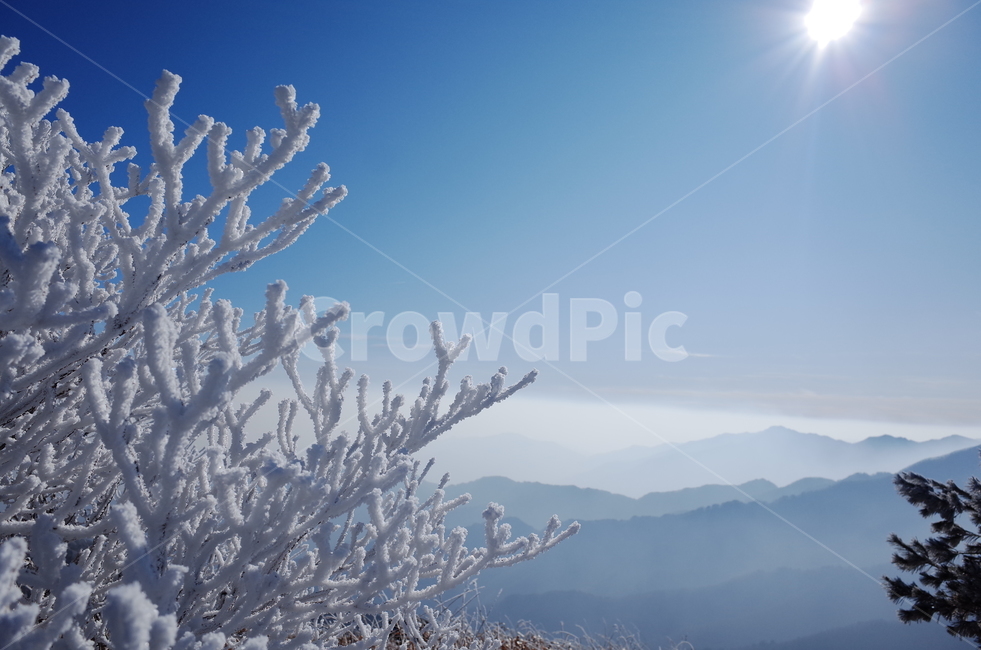 겨울,설산,겨울산,등산,눈,눈꽃,자연,outdoors,얼음,ice,white