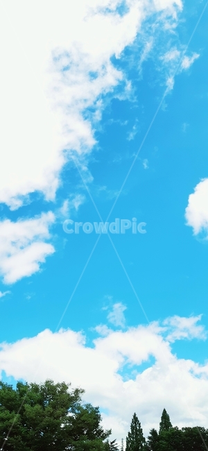 하늘,구름,나무,풍경,푸른색,자연,풍경,nature,landscape,azure sky,푸른 하늘,sky,outdoors,옥외