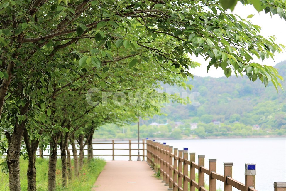 trail,Waterside Park,colonnade,tree,Reservoir