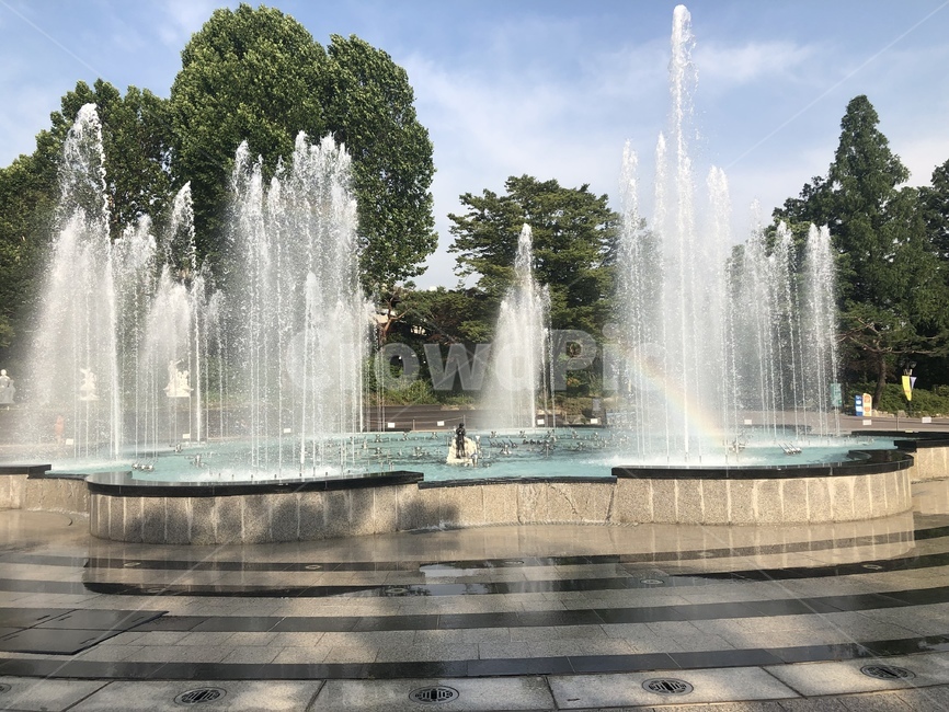 분수,분수대,물,fountain,무지개,나무